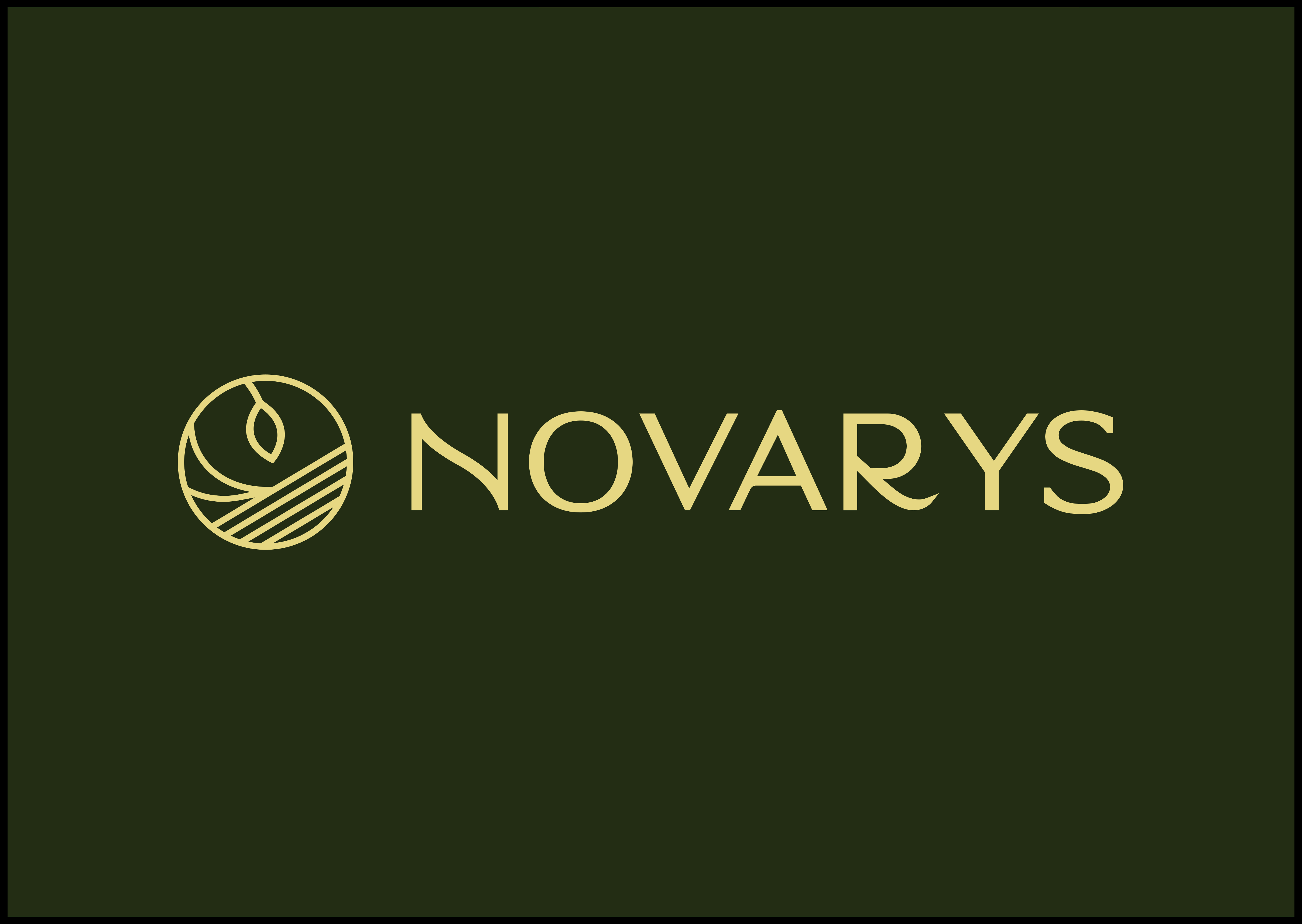 Novarys Brasil